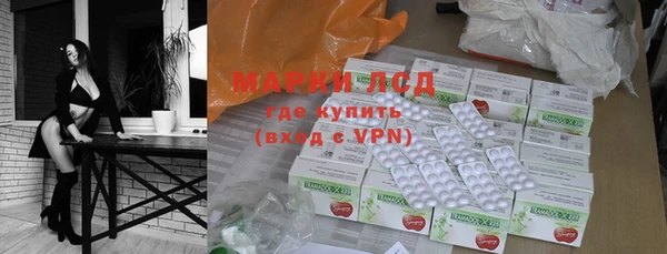 ГАЛЛЮЦИНОГЕННЫЕ ГРИБЫ Михайлов