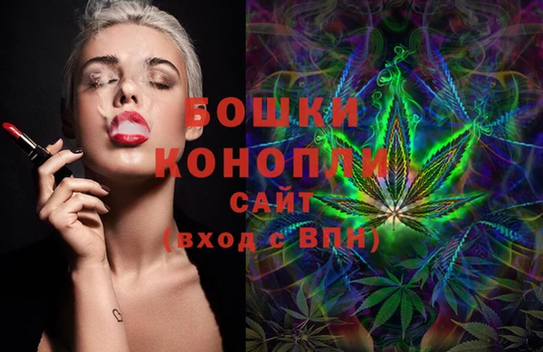 ГАЛЛЮЦИНОГЕННЫЕ ГРИБЫ Михайлов