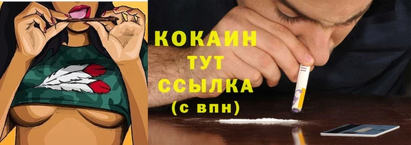 молекула духа Надым