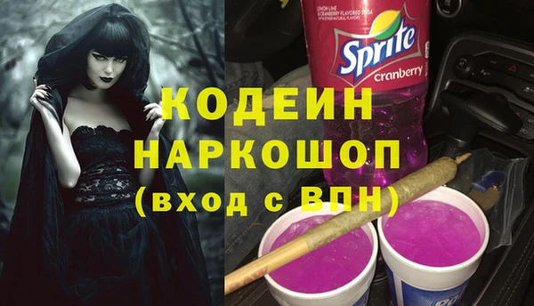 ГАЛЛЮЦИНОГЕННЫЕ ГРИБЫ Михайлов