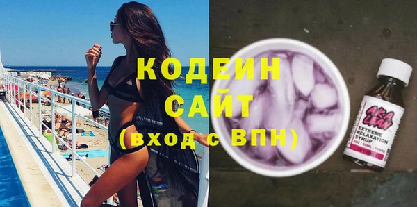 ГАЛЛЮЦИНОГЕННЫЕ ГРИБЫ Михайлов