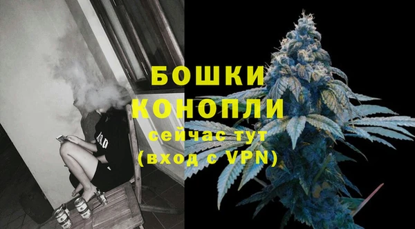 ГАЛЛЮЦИНОГЕННЫЕ ГРИБЫ Михайлов