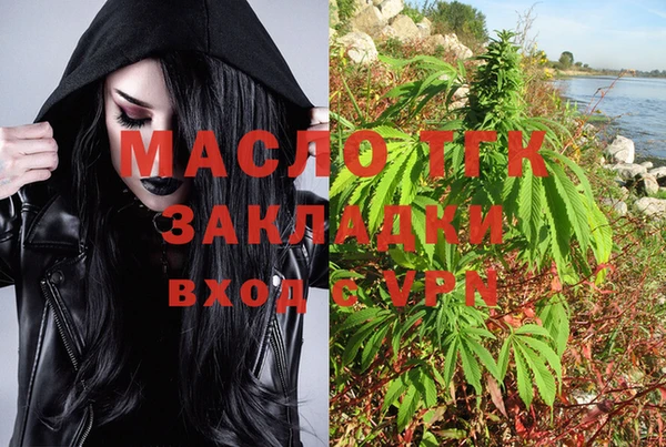 ГАЛЛЮЦИНОГЕННЫЕ ГРИБЫ Михайлов