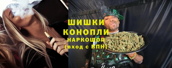 молекула духа Надым