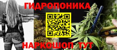 дживик Гатчина