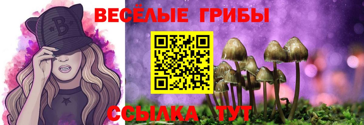 Галлюциногенные грибы ЛСД Лыткарино
